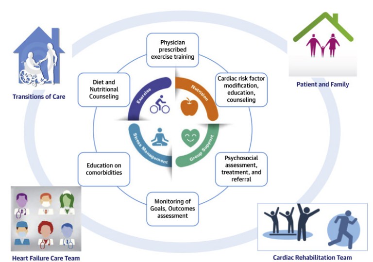 Understanding Cardiac Rehabilitation Process